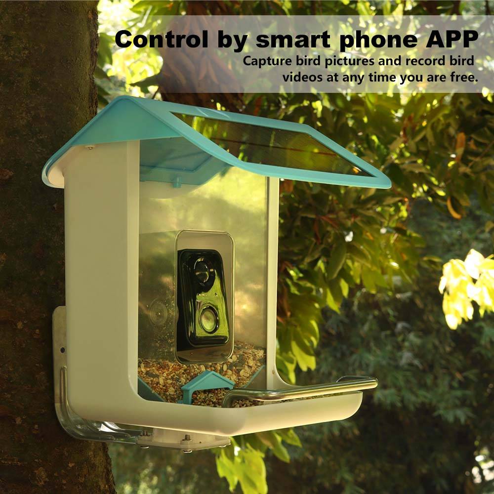 Уличная Wi-Fi камера для наблю – обзор и цена Smart Bird Feeder Camera