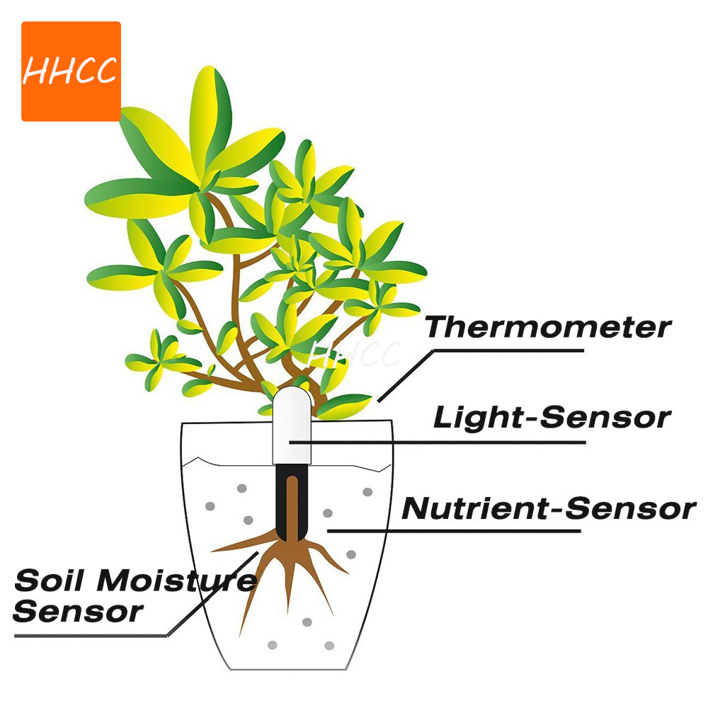 HHCC умный цветочный монитор Ф – обзор и цена Smart Garden Xiaomi