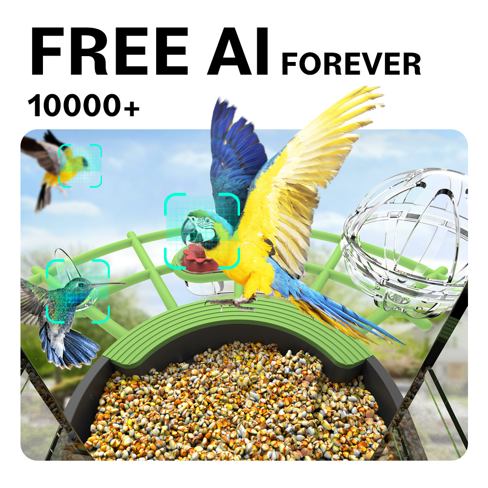 Умная кормушка для диких птиц  – обзор и цена Smart Bird Feeder Camera