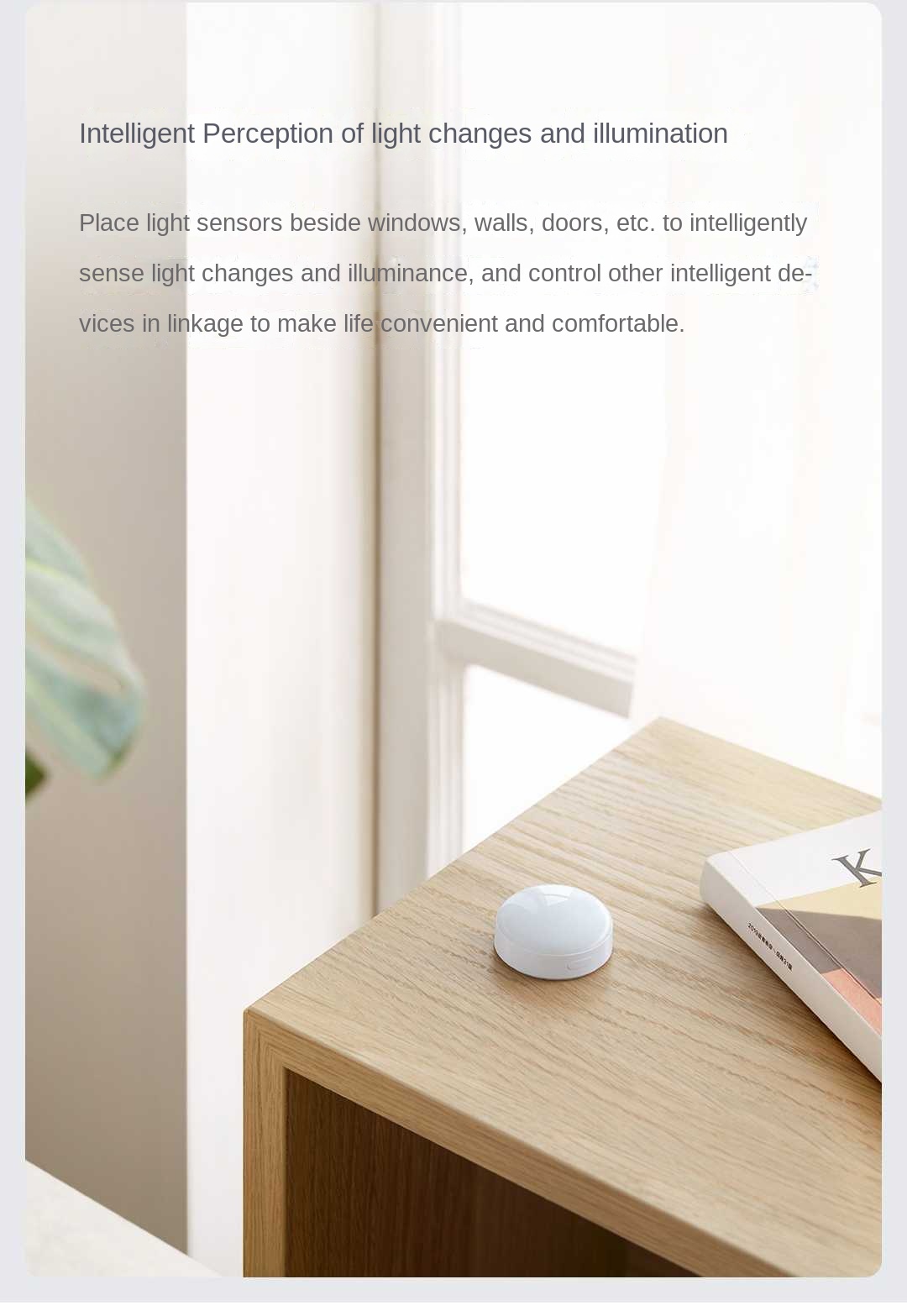 Датчик освещенности Aqara T1 Z – обзор и цена Smart Garden Xiaomi