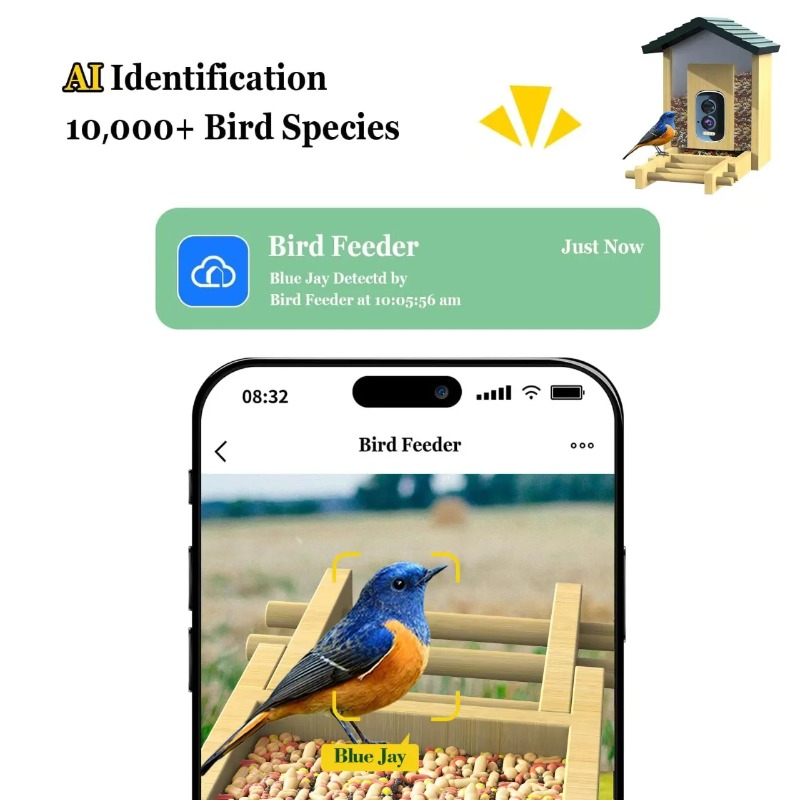 Камера-кормушка для птиц с ИИ  – обзор и цена Smart Bird Feeder Camera