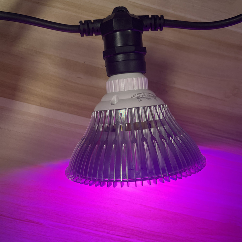 Светодиодная гирлянда 10 м, ко – обзор и цена Smart Garden Lamp