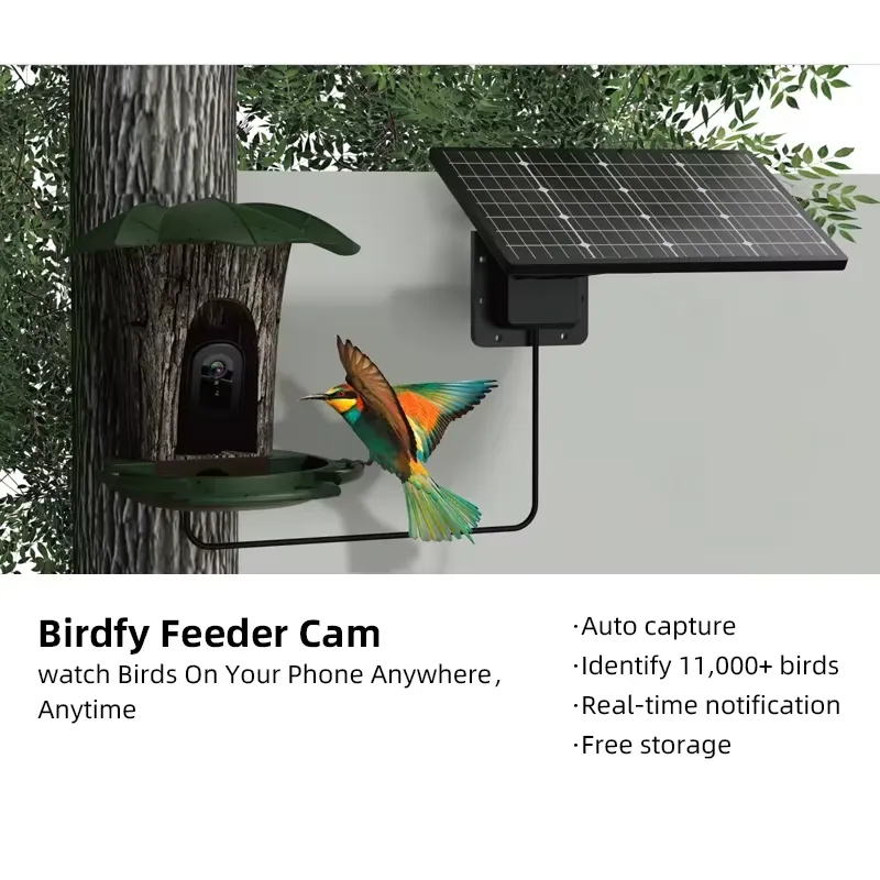 Умная кормушка для птиц Elecpe – обзор и цена Smart Bird Feeder Camera