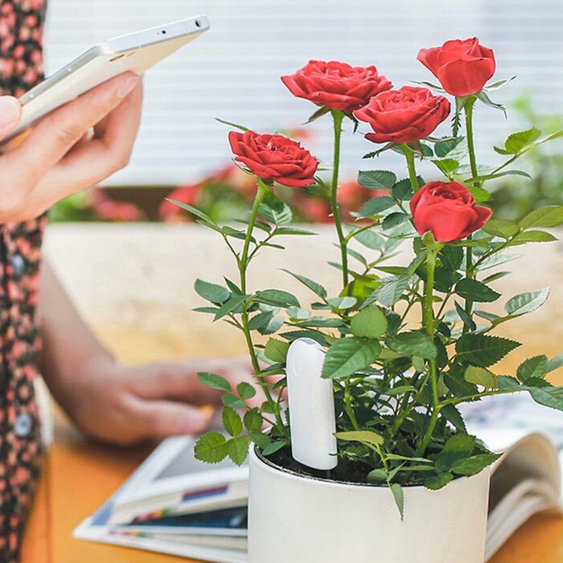 HHCC монитор цветов Флора сад  – обзор и цена Smart Garden Xiaomi