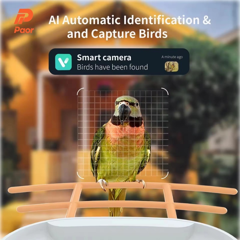 Новые уличные умные кормушки д – обзор и цена Smart Bird Feeder Camera