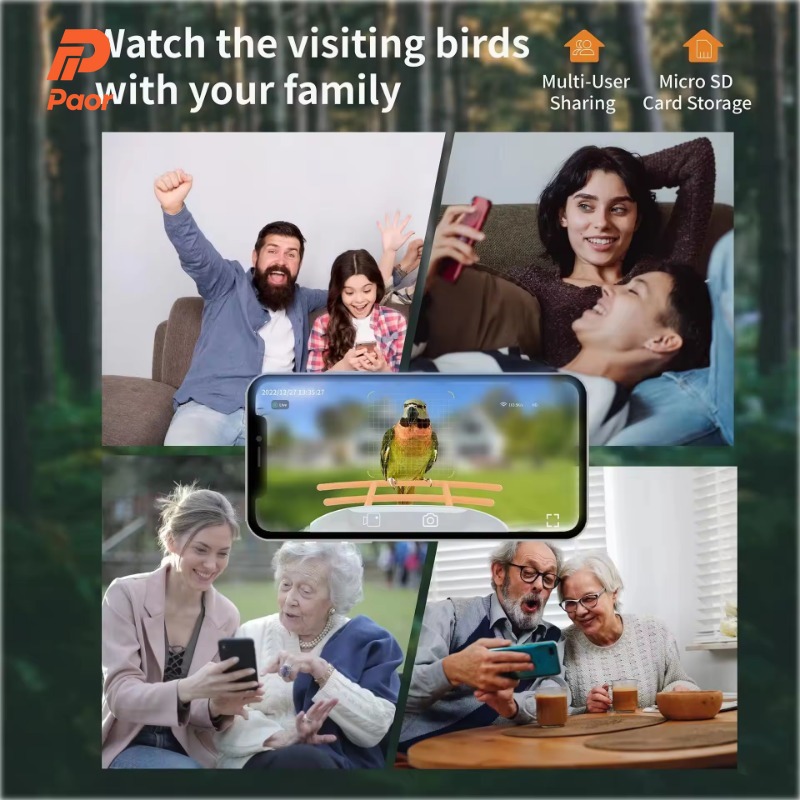 Новые уличные умные кормушки д – обзор и цена Smart Bird Feeder Camera