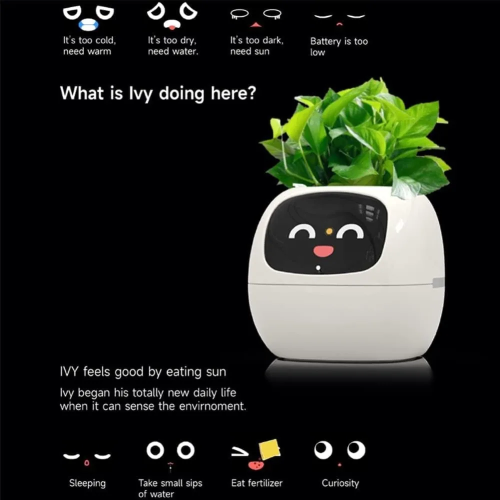 Умный цветочный горшок с ИИ-чи – обзор и цена Smart Garden Offices