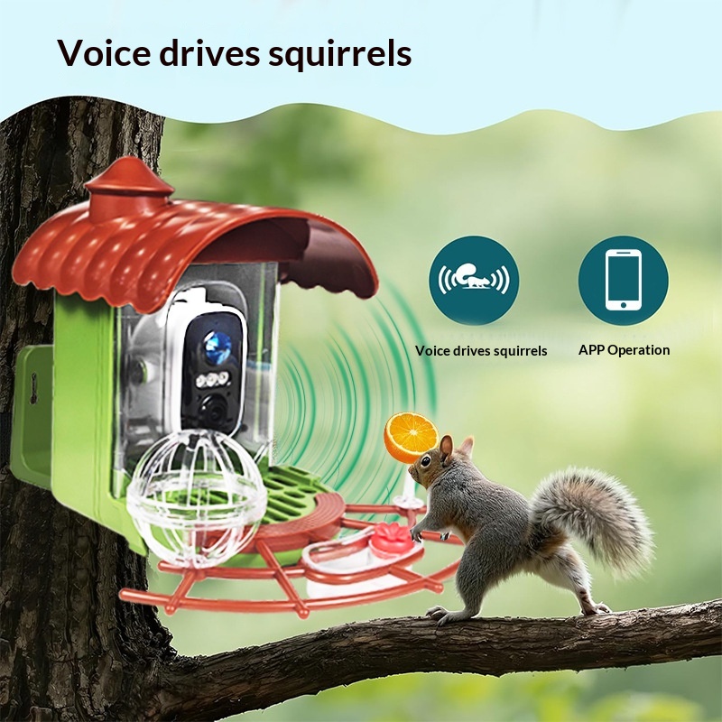 Уличная автоматическая умная к – обзор и цена Smart Bird Feeder Camera