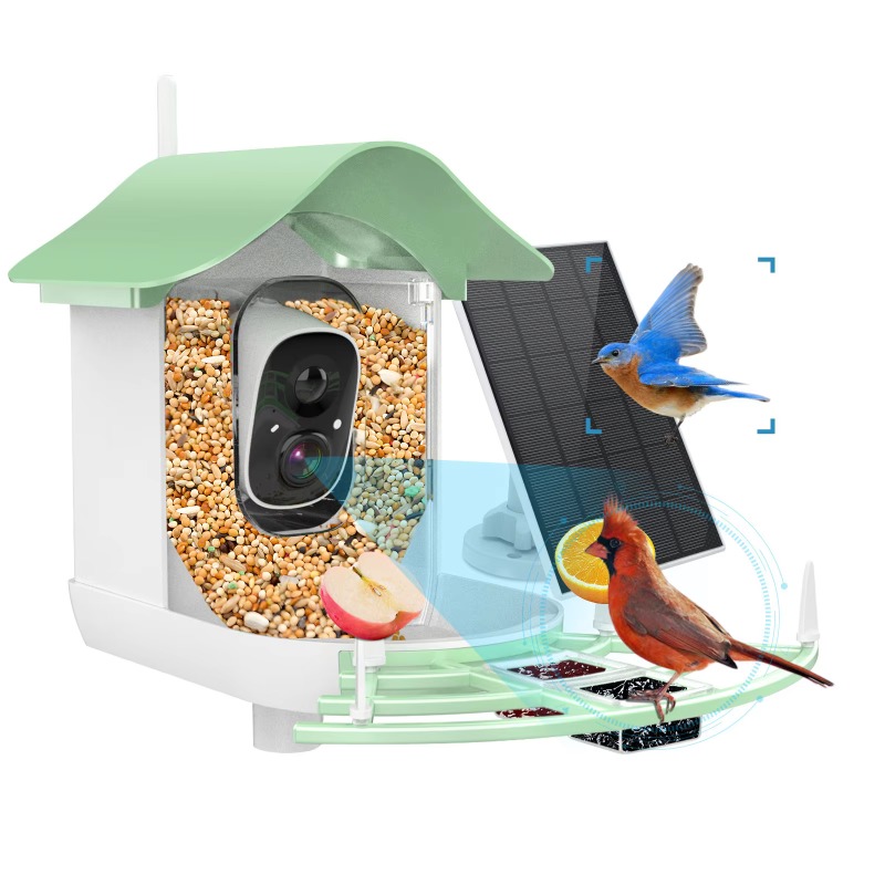Приложение 2026, камера с авто – обзор и цена Smart Bird Feeder Camera