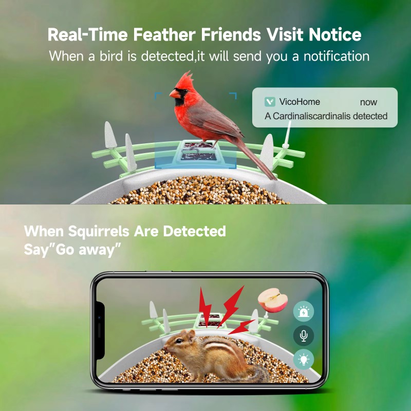 Приложение 2026, камера с авто – обзор и цена Smart Bird Feeder Camera